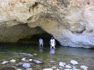 b0051643_0394224.jpg