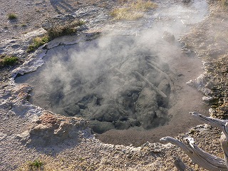 b0051643_040076.jpg