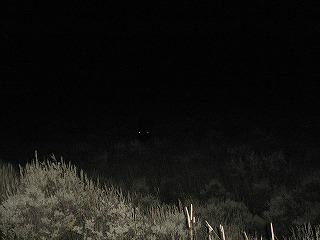 b0051643_0403733.jpg