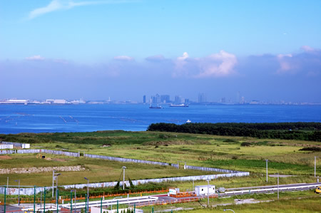 フルーツタルト_b0016049_23395983.jpg