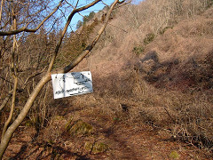e0050472_1134979.jpg