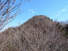 e0050472_2015296.jpg