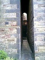 c0009413_1525471.jpg