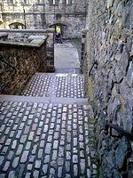 c0009413_159874.jpg