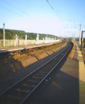 b0031429_1372543.jpg