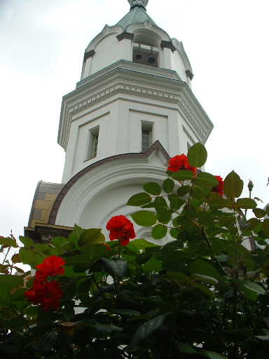 b0025633_21351876.jpg