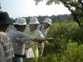 「愛知池友の会」会員及び愛知池に関心をお持ちの方々へ_e0027974_1445025.jpg