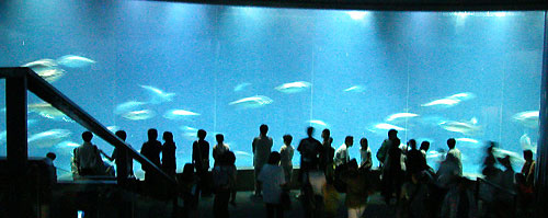 「風景晴景」葛西臨海水族園・巨大水槽とアクアシアター_c0009981_7231.jpg