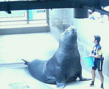 c0038524_8433784.jpg