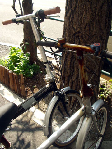 e0008876_2171280.jpg
