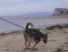 d0062009_89880.jpg