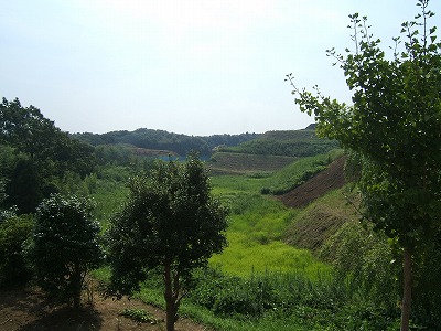 c0038611_19284865.jpg