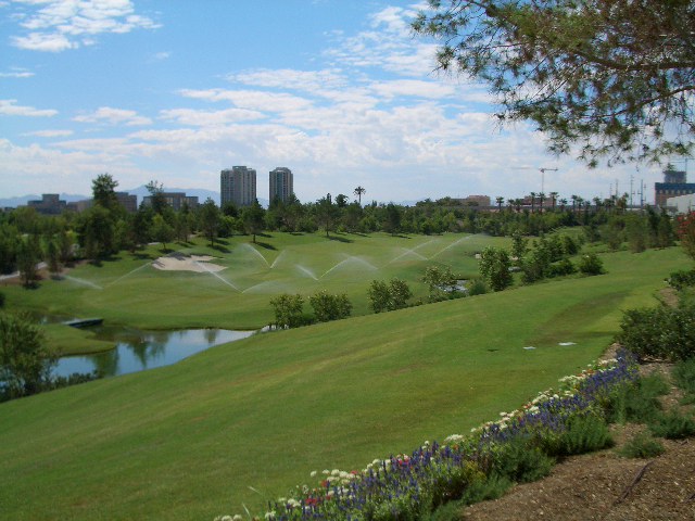 d0022623_211049.jpg