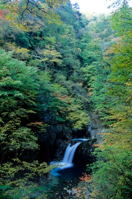 竜神の滝 -西沢渓谷- (山梨県山梨市)_a0020184_7383958.jpg