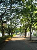 b0054391_1528598.jpg