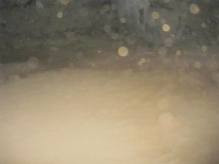 e0012299_74133.jpg