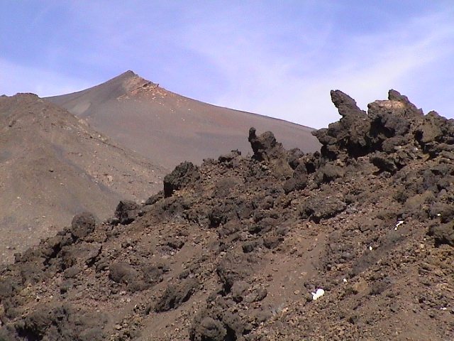 e0003910_2140622.jpg
