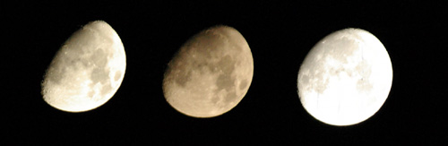 c0012819_23171290.jpg