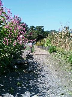 c0026612_0173183.jpg