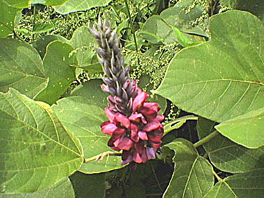 e0034012_23575683.jpg