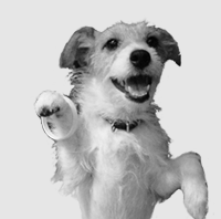 e0018457_19114735.gif