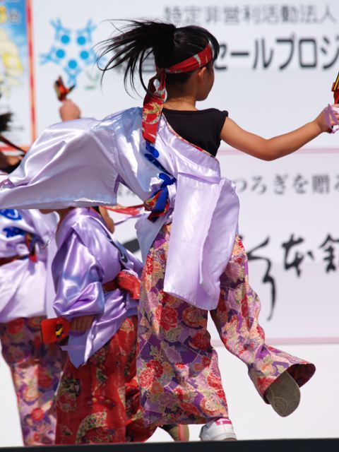 よさこい！_b0069761_21371251.jpg