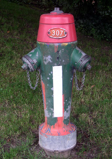 【スイスの消火栓　－中途半端なペイントアート編その１－】_b0038588_20545663.jpg