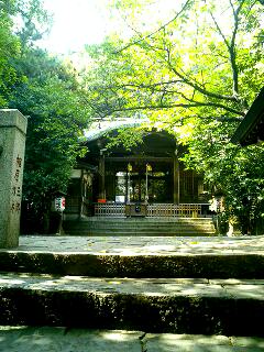 神社でランチ_d0026603_2356933.jpg