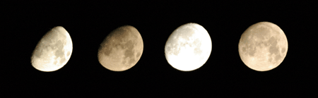 c0012819_1441611.gif