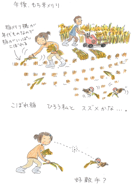 b0015222_2214195.gif