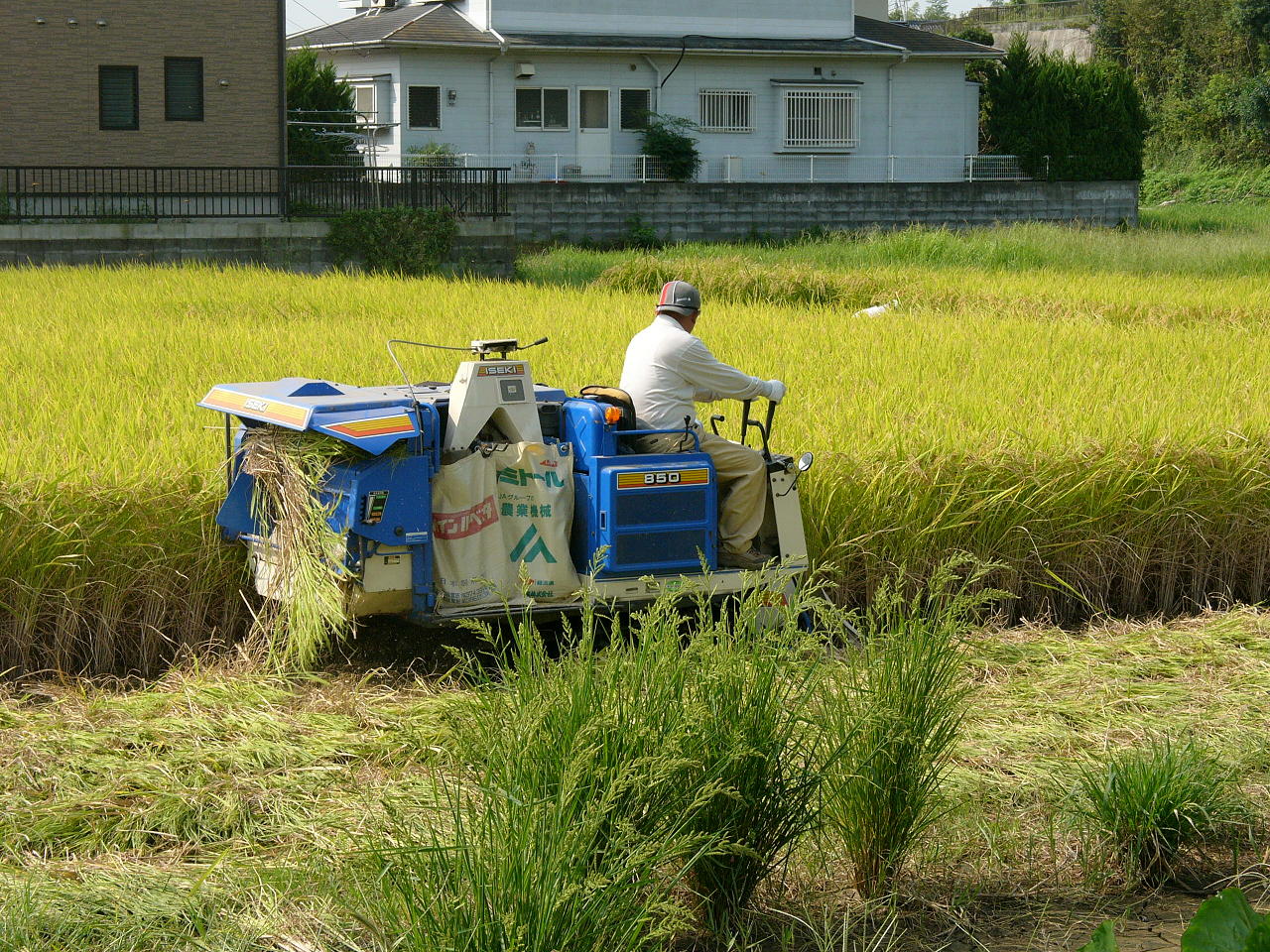 お彼岸間近_c0005030_10525420.jpg