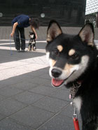 e0068836_12948.jpg