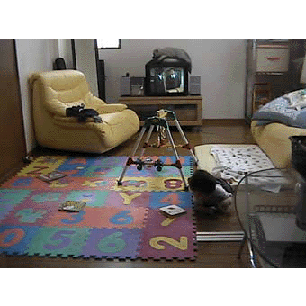 c0029051_351494.gif
