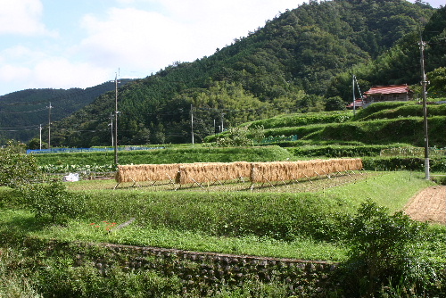 秋吉台～～大きな石灰岩_e0018678_21514183.jpg