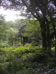 庭に想う。_d0028589_23101590.jpg