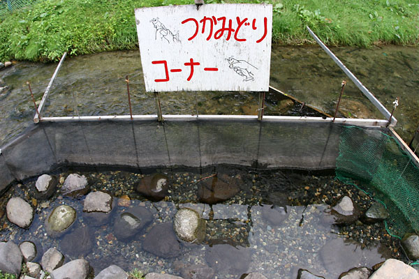 お手軽にイワナを釣る・・・食べる・・・_c0048494_15512650.jpg