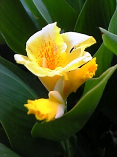 c0037701_031566.jpg