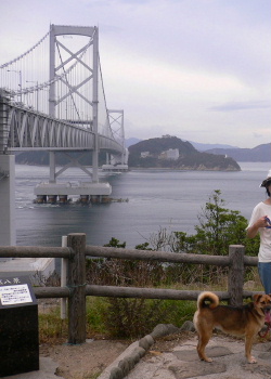 d0062009_8494618.jpg