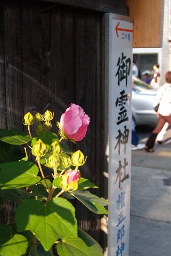 9月18日の御霊神社例祭_c0069413_22112883.jpg