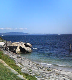 d0065116_1835015.jpg