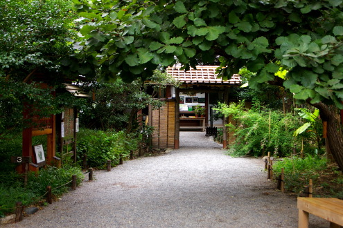 向島百花園・・前編_b0053019_22215449.jpg