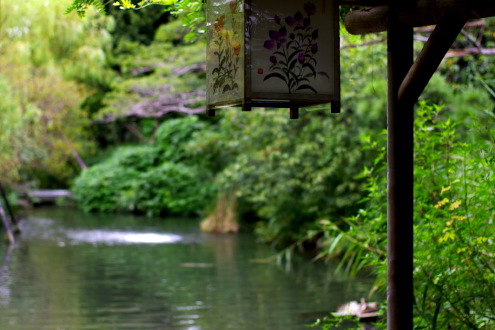 向島百花園・・前編_b0053019_22494573.jpg