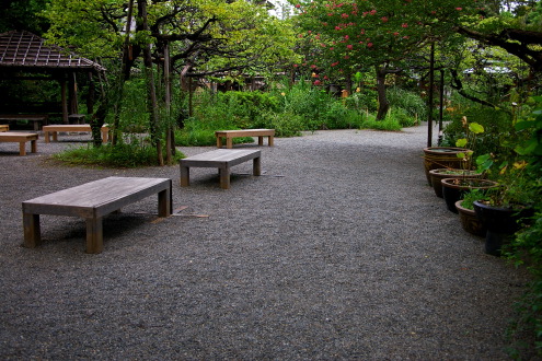 b0053019_238464.jpg