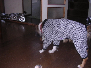 c0065643_1945465.jpg
