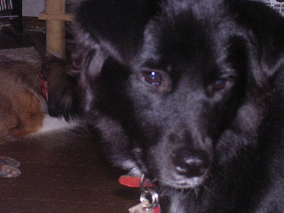 c0065643_19463299.jpg