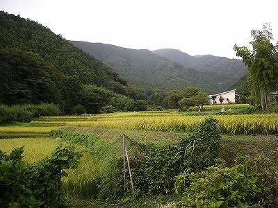 日向薬師と大山_d0011358_143692.jpg