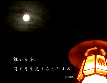 満月の夜に何かが起こる・・・_d0018299_22581265.jpg