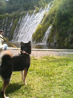 e0020501_15211522.jpg