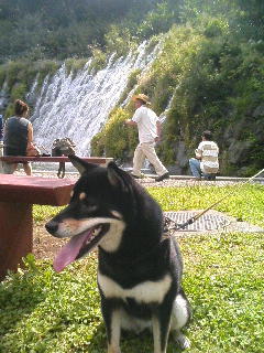 e0020501_15211588.jpg
