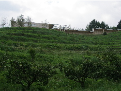 c0036203_9552165.jpg